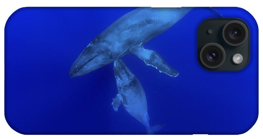 00999164 iPhone Case featuring the photograph Humpback Whale Mother And Yearling Maui by Flip Nicklin