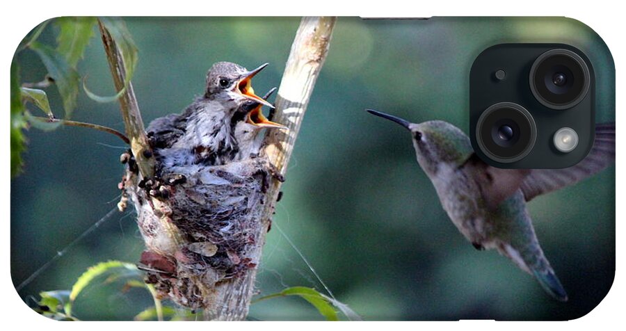 Birds iPhone Case featuring the photograph Hurry Mom by Jo Sheehan