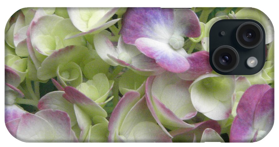 Pedals iPhone 15 Case featuring the photograph Hydrangea Pedals Galore by Kim Galluzzo