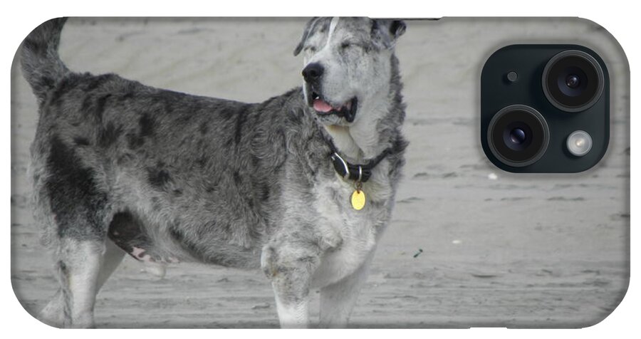 Dog iPhone Case featuring the photograph I have no words by Kim Galluzzo