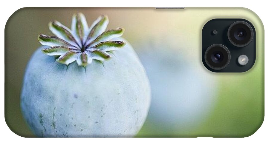 Igersoftheday iPhone Case featuring the photograph I Love The Pod Left After The Poppy by Kevin Smith
