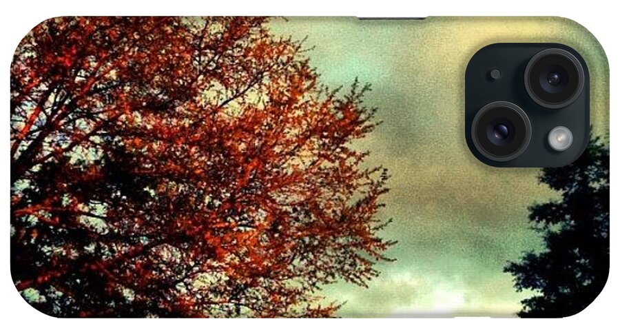 Beautiful iPhone Case featuring the photograph I Love This Pic! #beautiful #tree by Seth Stringer