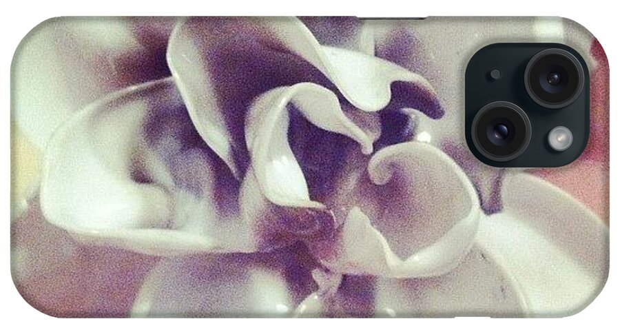 iPhone Case featuring the photograph I Made A Rose With Plastic Spoons. What by Jessica Barrett