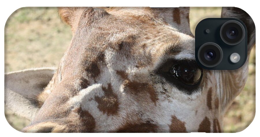 Giraffe iPhone 15 Case featuring the photograph I see you by Kim Galluzzo Wozniak