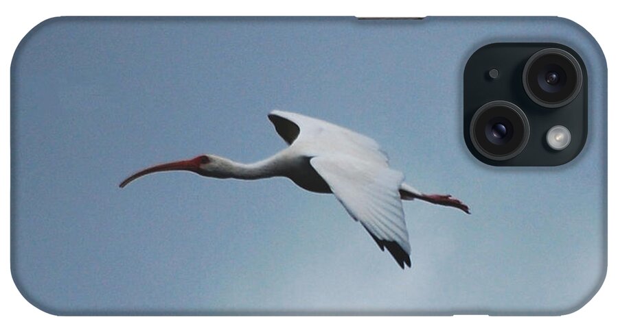 Birds iPhone Case featuring the digital art Ibis in Flight by David Lane