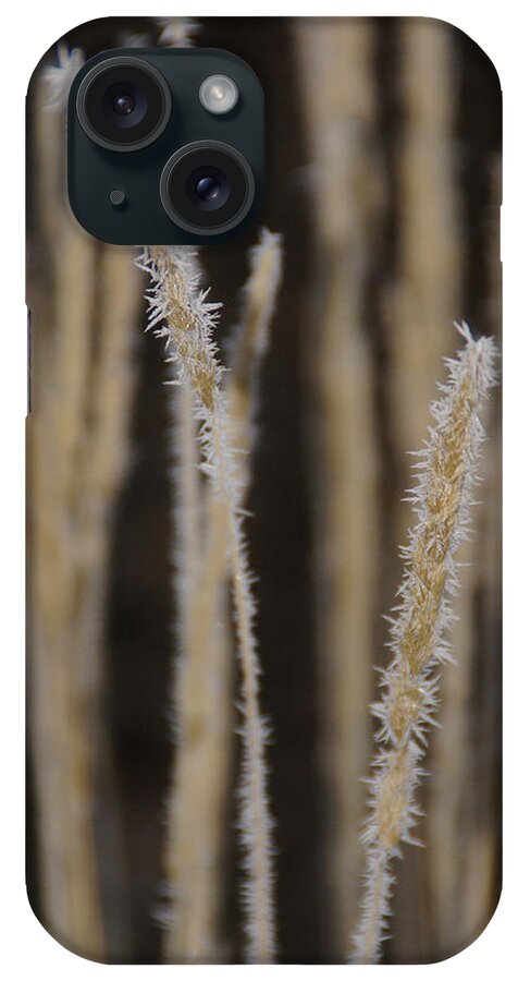 Ice iPhone Case featuring the photograph Ice Crystals on Tall Grass by Mick Anderson