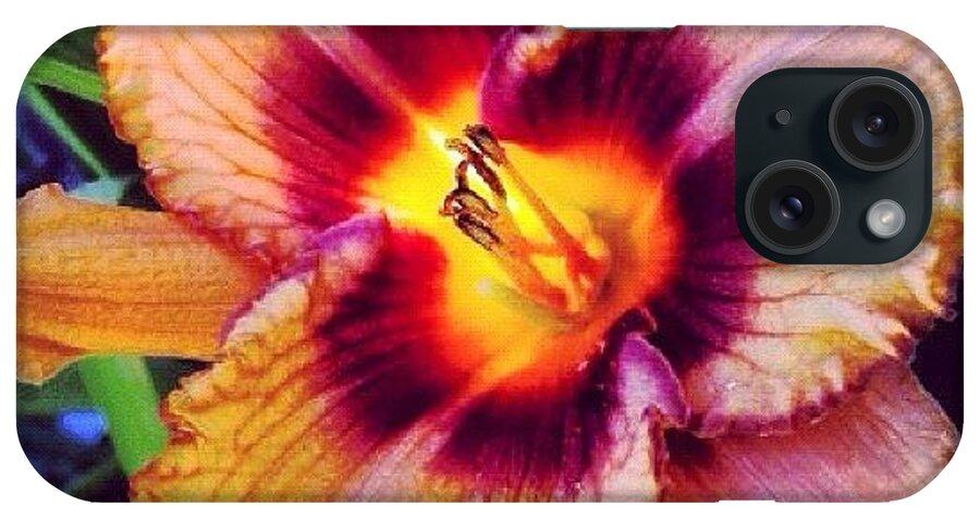 Beautiful iPhone Case featuring the photograph #idaho #backyard #flower #flowers #lily by Cassidy Taylor