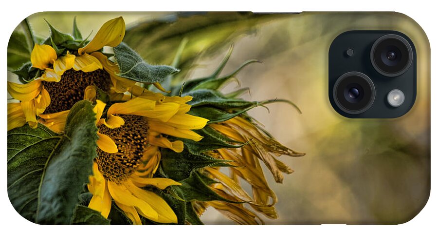 Sunflowers iPhone Case featuring the photograph In a Sunny Corner by Bonnie Bruno