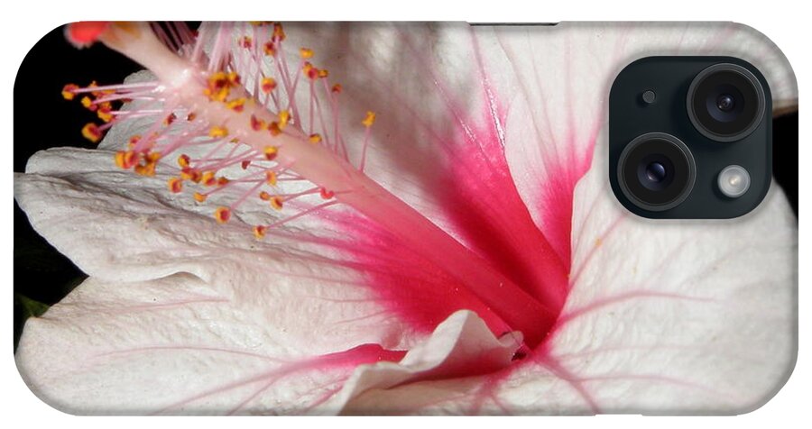 Hibiscus iPhone Case featuring the photograph In All Its Glory by Kim Galluzzo