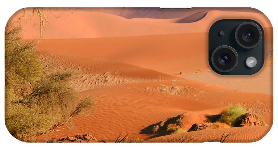 Antelope iPhone Case featuring the photograph In the shade by Alistair Lyne