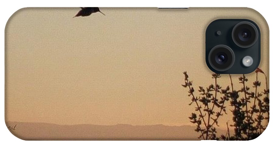 60likes iPhone Case featuring the photograph Incoming! #inmybackyard #hummingbird by Cynthia Post