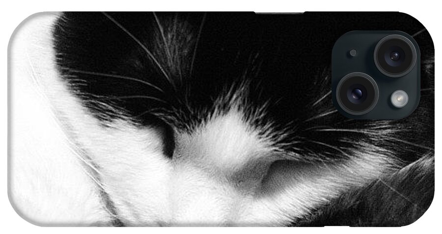 Cute iPhone Case featuring the photograph #instagood #catstagram #cataofinstagram by Rachel Williams