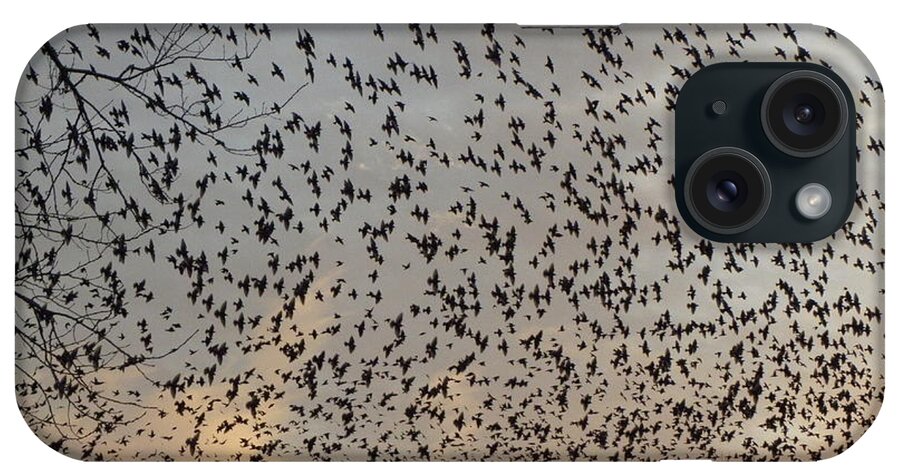 Starlings iPhone Case featuring the photograph Invasion Of The Birds by Kim Galluzzo