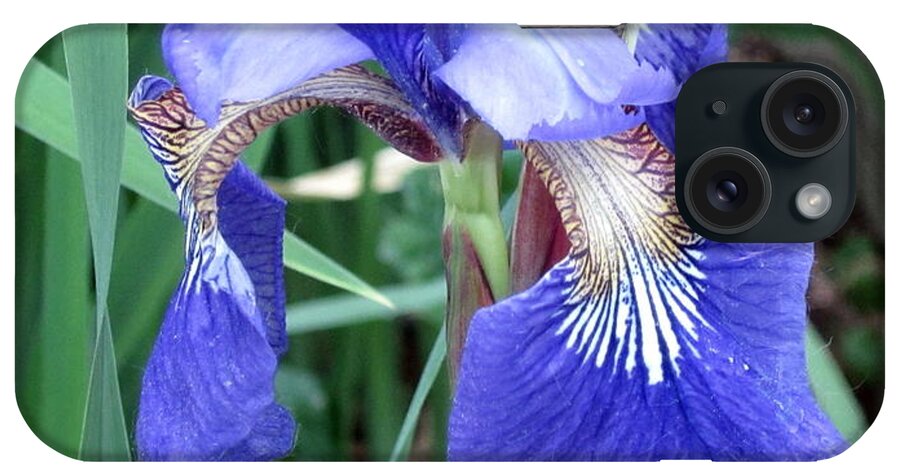Flower iPhone Case featuring the photograph Iris by Kathy Sheeran