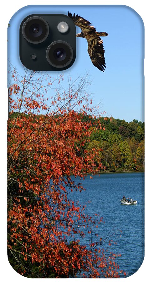 Junenile Eagle And Fishermen iPhone Case featuring the photograph Juvenile And Fishermen by Randall Branham