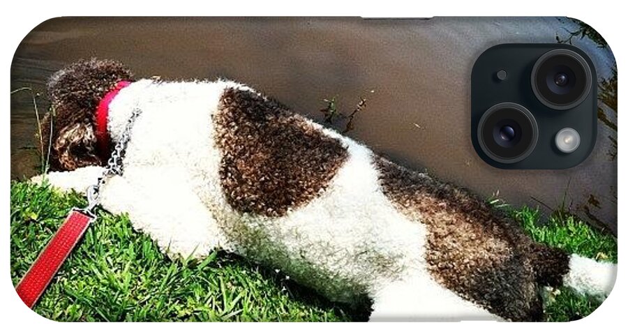 Beautiful iPhone Case featuring the photograph Kona Getting A Drink Out Of The #pond T by Lori Lynn Gager