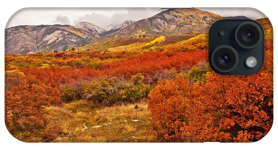 Photograph iPhone Case featuring the photograph La Sal Autumn by Bob and Nancy Kendrick