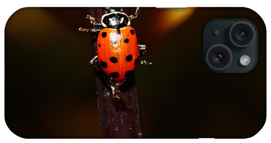 Ladybug iPhone Case featuring the photograph Ladybug On Orange Yellow Dahlia . 7D14745 by Wingsdomain Art and Photography