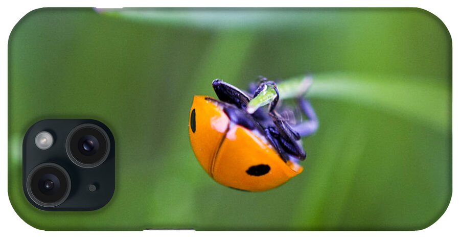 Landscape iPhone Case featuring the photograph Ladybug Topsy Turvy by Donna L Munro