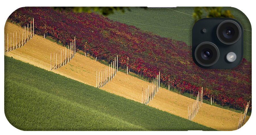 Vineyard iPhone Case featuring the photograph Lambrusco vineyard by Francesco Riccardo Iacomino