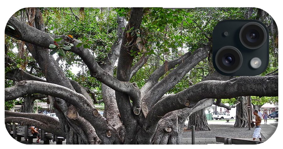 Banyan Tree iPhone Case featuring the photograph Largest Banyan Tree in the USA by Kirsten Giving