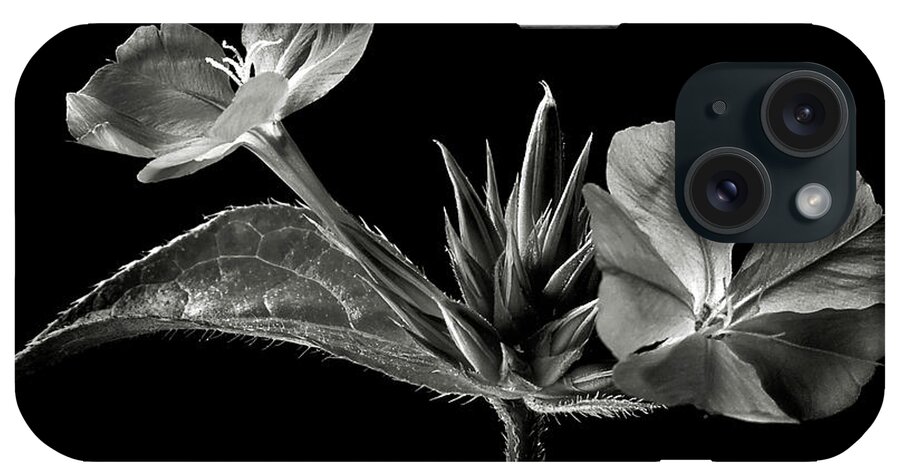 Flower iPhone Case featuring the photograph Leadwort in Black and White by Endre Balogh