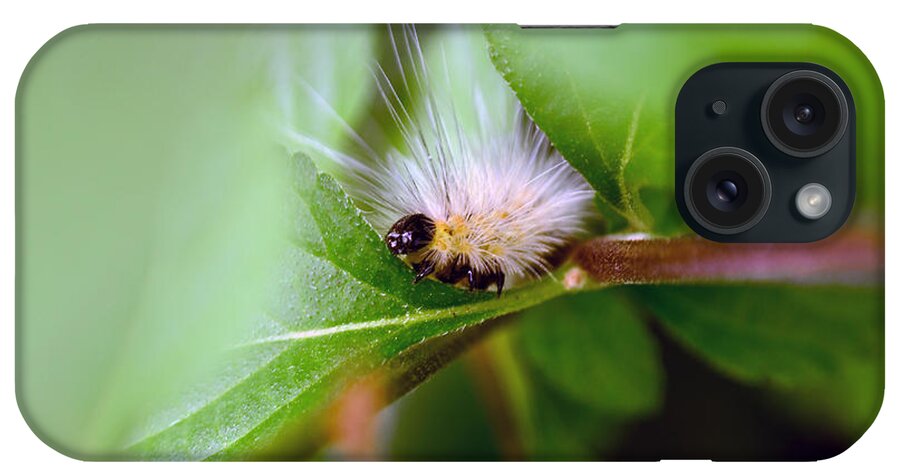 Caterpillar iPhone Case featuring the photograph Leaf for One by Lori Tambakis