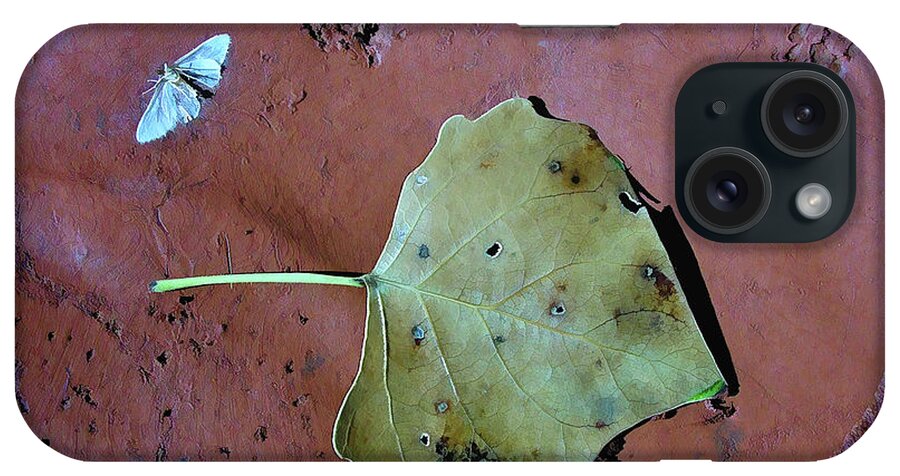 Leaf iPhone Case featuring the photograph Leaf Libretto by Britt Runyon