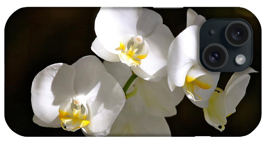 Orchids iPhone Case featuring the photograph Light on White by Michael Cinnamond