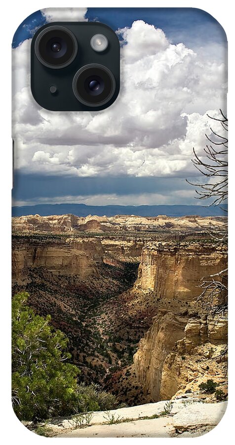 Endre iPhone Case featuring the photograph Lightning Bolt by Endre Balogh