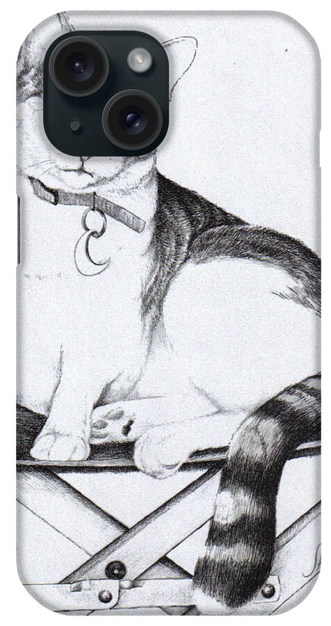 Cat iPhone Case featuring the drawing Luna by James Oliver