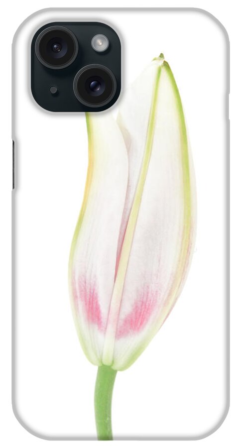 Snow iPhone Case featuring the photograph Lily in the Snow by Tom and Pat Cory
