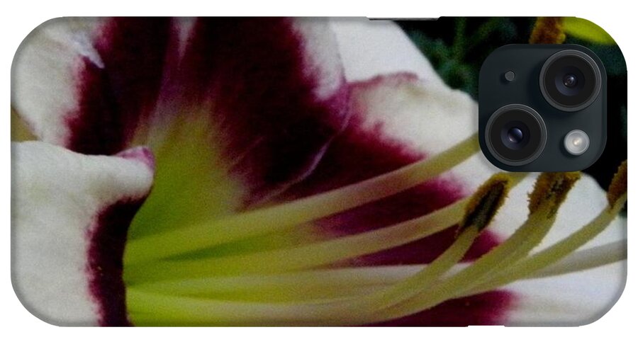 Lily iPhone Case featuring the photograph Lily Of True Beauty by Kim Galluzzo