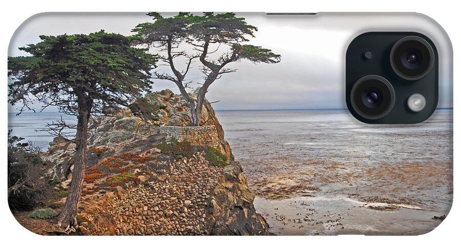 Lone Cypress iPhone Case featuring the photograph Lone Cypress by Gary Beeler