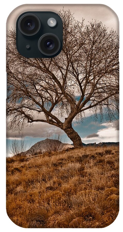 Tree iPhone Case featuring the photograph Lone Tree by Mark Forte