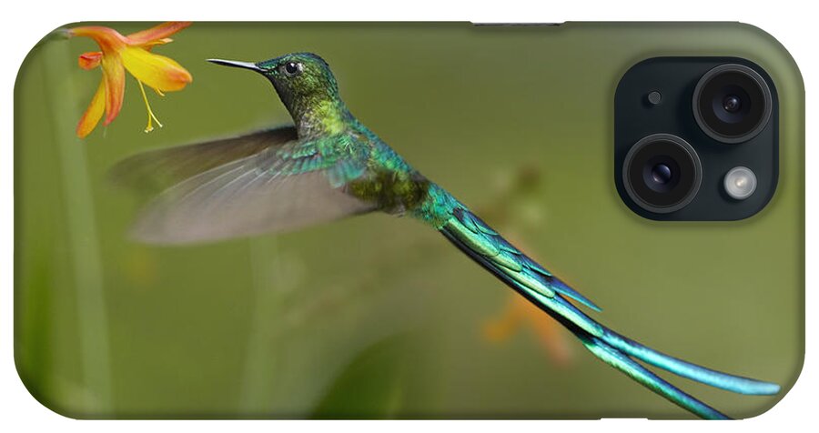 00486961 iPhone Case featuring the photograph Long Tailed Sylph Feeding On Flower by Tim Fitzharris