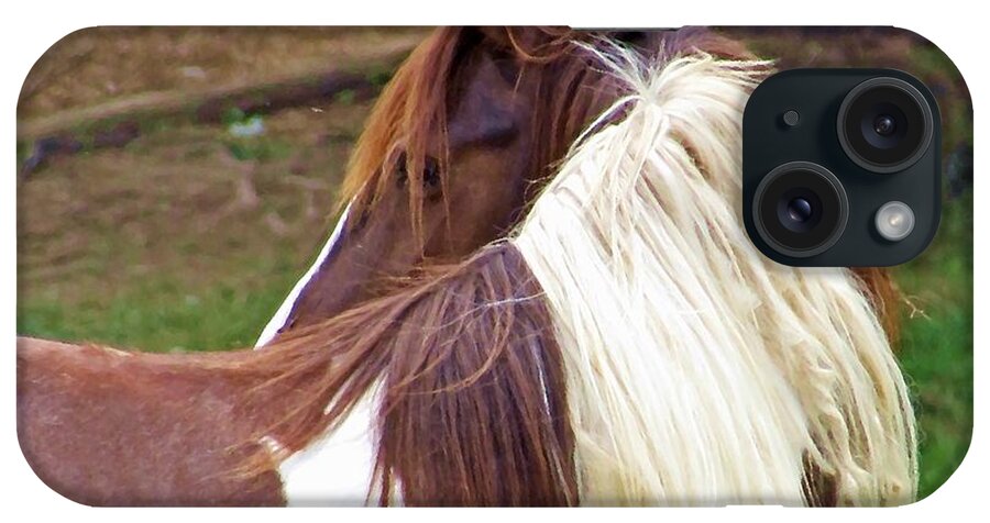 Horse iPhone Case featuring the photograph Looking Back by Laurinda Bowling