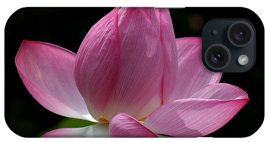 Nature iPhone Case featuring the photograph Lotus Beauty--Beauty in Disarray DL027 by Gerry Gantt