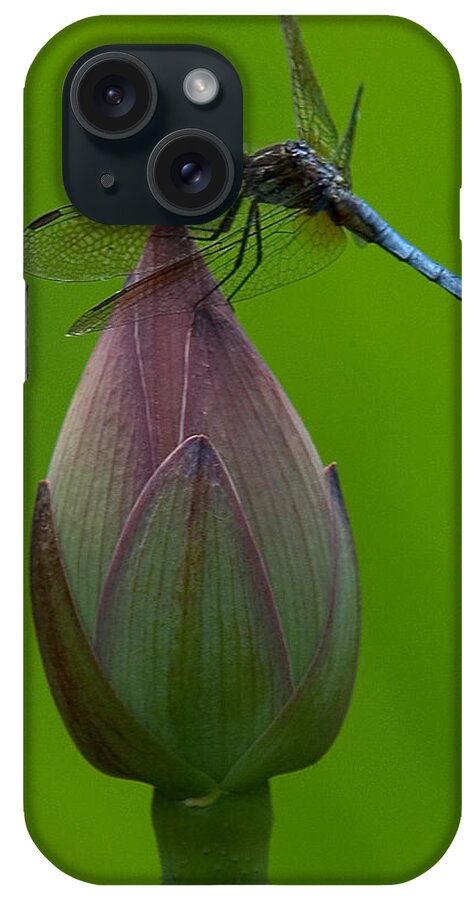 Nature iPhone Case featuring the photograph Lotus Bud and Blue Dasher Dragonfly DL007 by Gerry Gantt