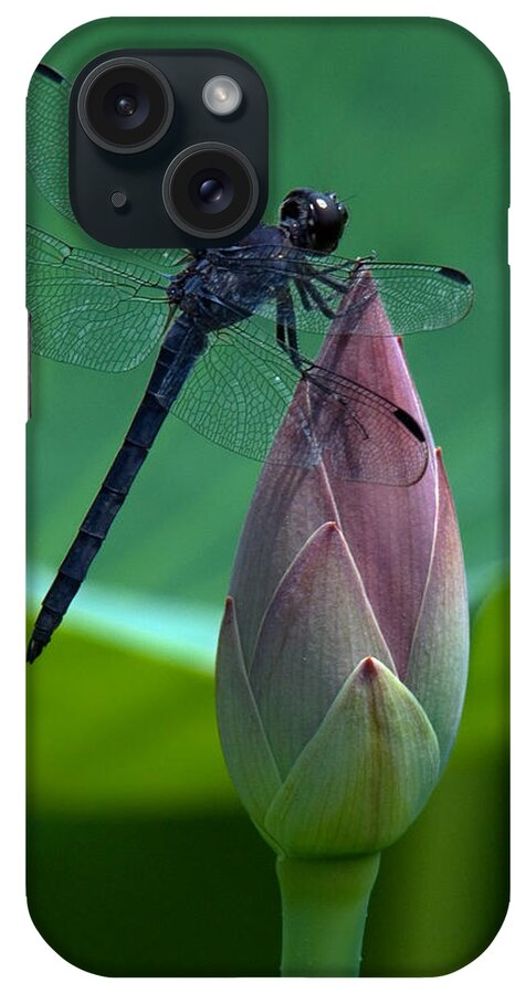 Nature iPhone Case featuring the photograph Lotus Bud and Slatey Skimmer Dragonfly DL072 by Gerry Gantt