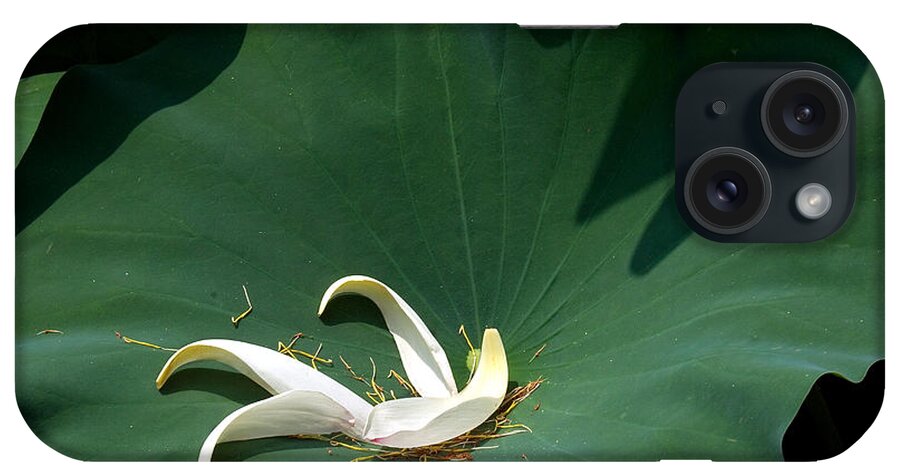 Nature iPhone 15 Case featuring the photograph Lotus Leaf--Castoff iii DL060 by Gerry Gantt