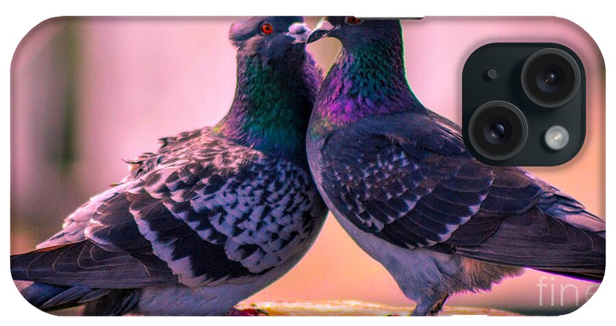 Doves iPhone Case featuring the photograph Love at First Site by Shannon Harrington
