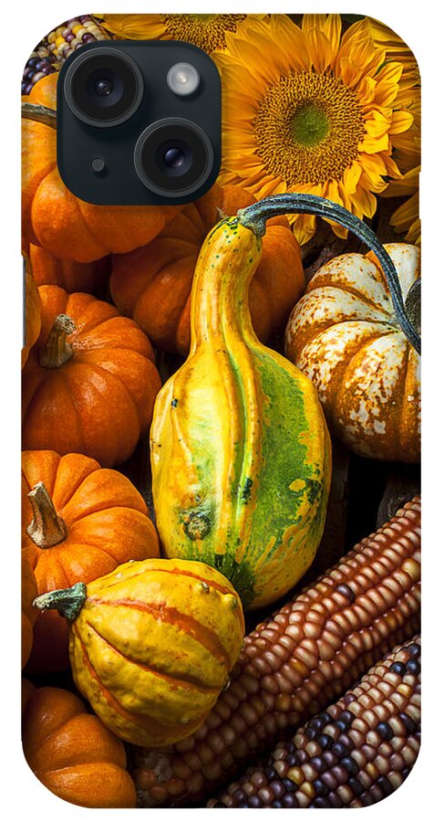 Gourd iPhone Case featuring the photograph Lovely autumn by Garry Gay