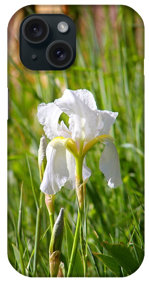 White Iris iPhone Case featuring the photograph Lovely White Iris In Field Of Grass by Tracie Schiebel