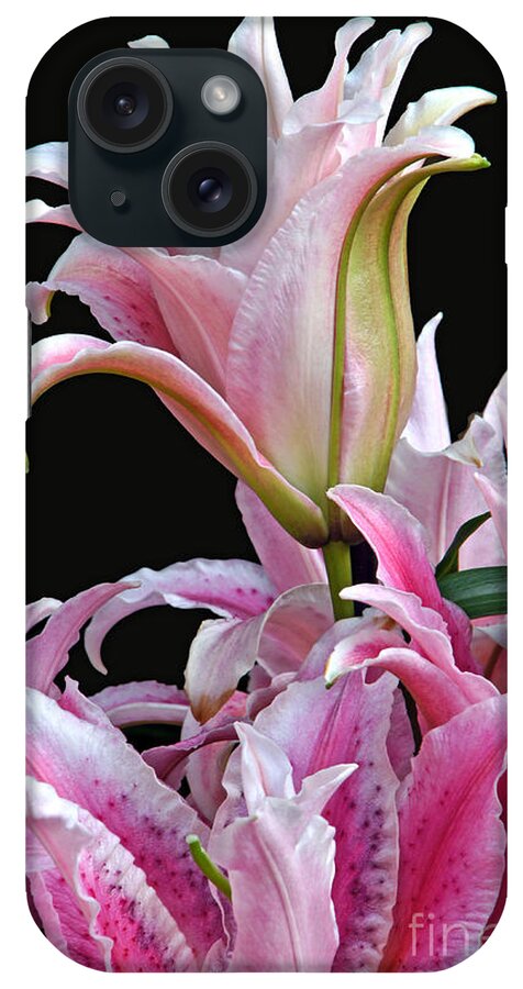 Lilium iPhone Case featuring the photograph Luscious Lilies by Byron Varvarigos