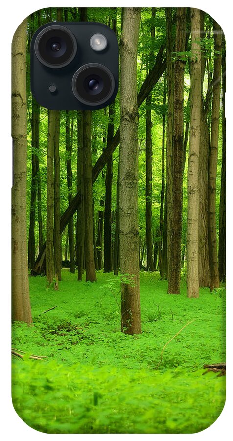 Lush iPhone Case featuring the photograph Lush Green Forest 2 by Cindy Haggerty