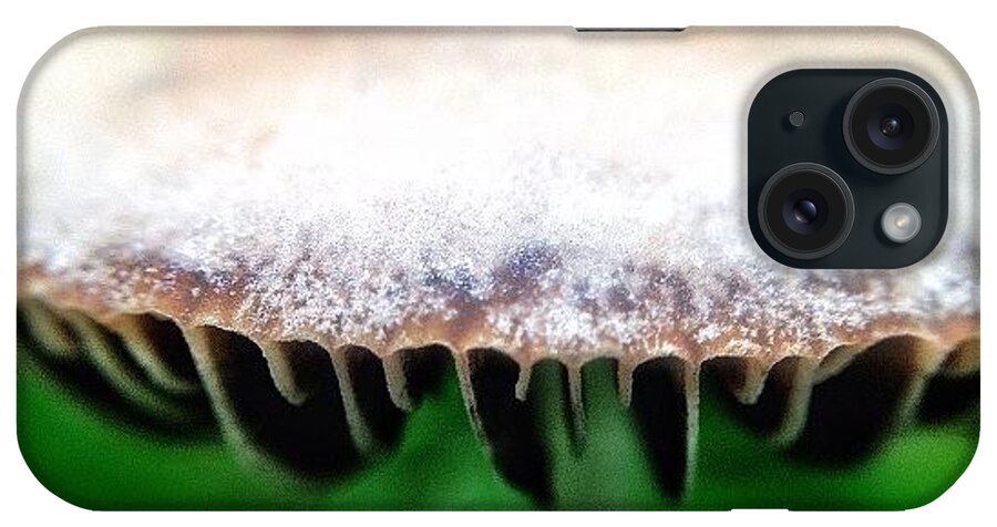 Photooftheday iPhone Case featuring the photograph Macro Mushroom Flying Saucer by Natasha Marco