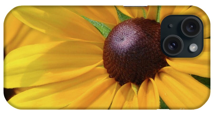 Black Eyed Susan iPhone Case featuring the photograph Black Eyed Susan by Mark Valentine