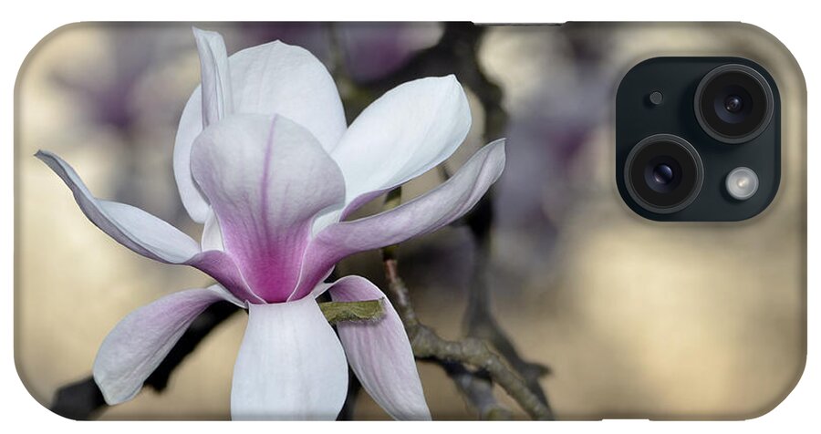 Magnolia iPhone Case featuring the photograph Magnolia One by Ann Bridges