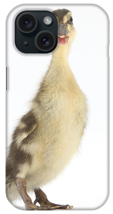 Nature iPhone Case featuring the photograph Mallard Duckling by Mark Taylor